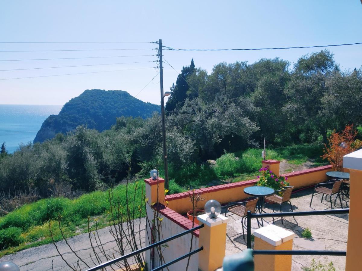 Vassilis Apartments パレオカストリッツア エクステリア 写真