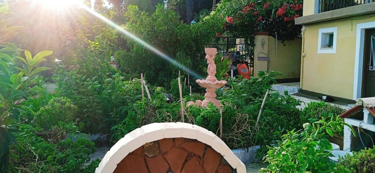 Vassilis Apartments パレオカストリッツア エクステリア 写真