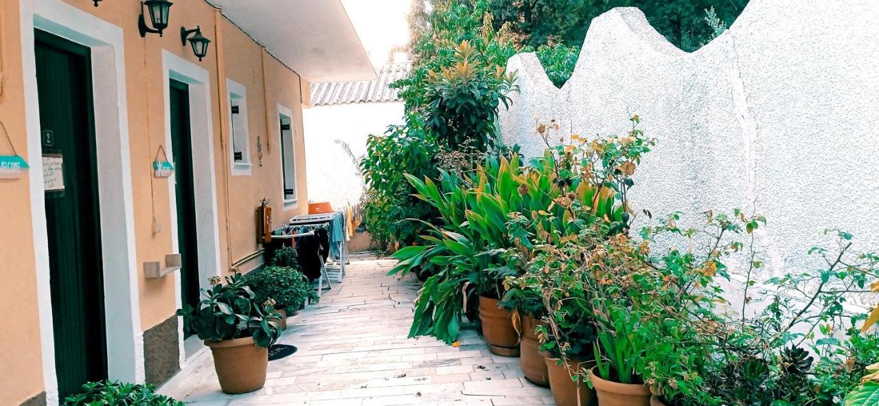 Vassilis Apartments パレオカストリッツア エクステリア 写真