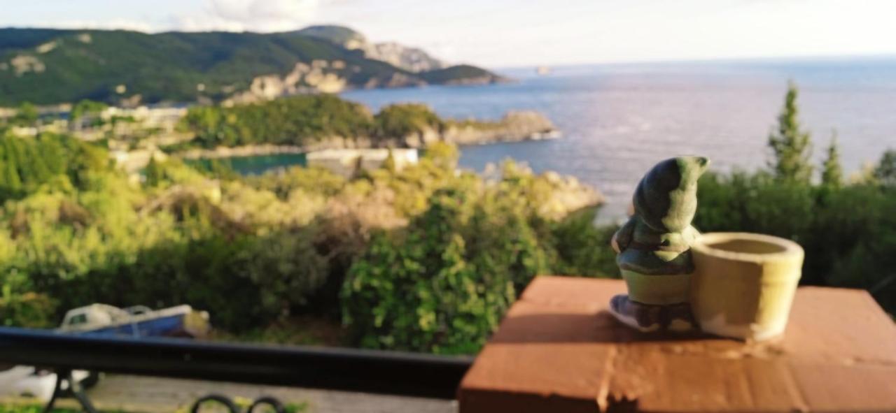Vassilis Apartments パレオカストリッツア エクステリア 写真