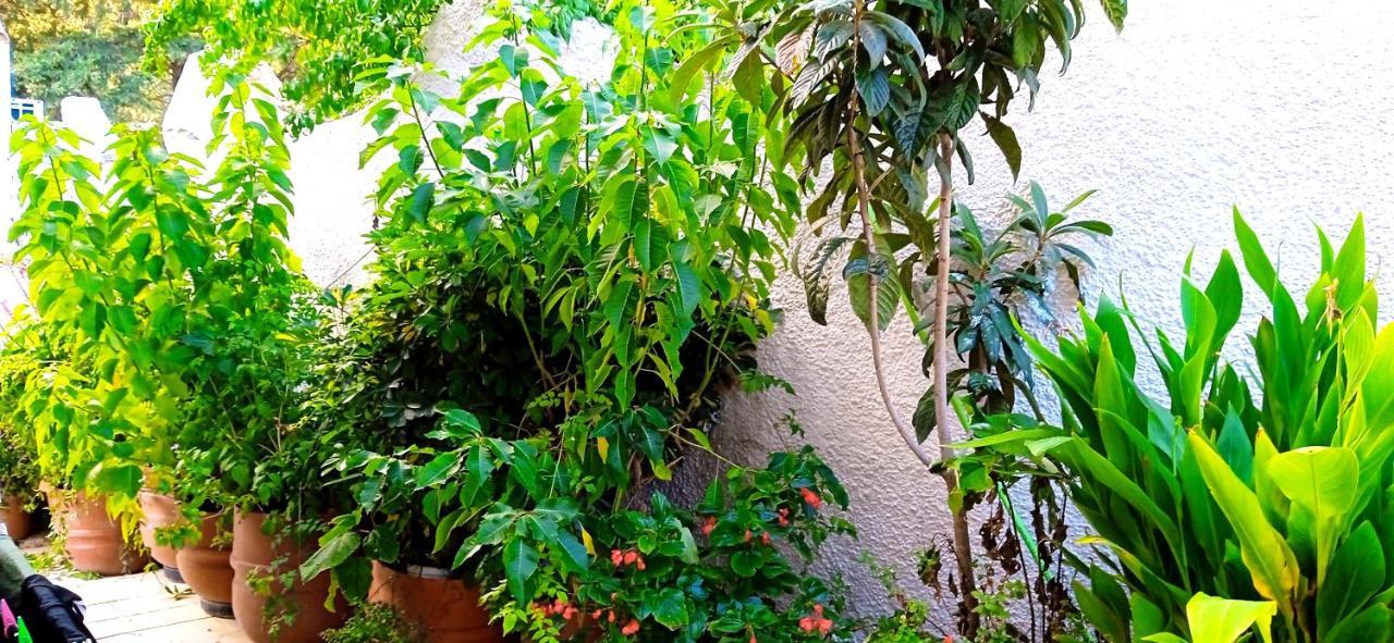 Vassilis Apartments パレオカストリッツア エクステリア 写真