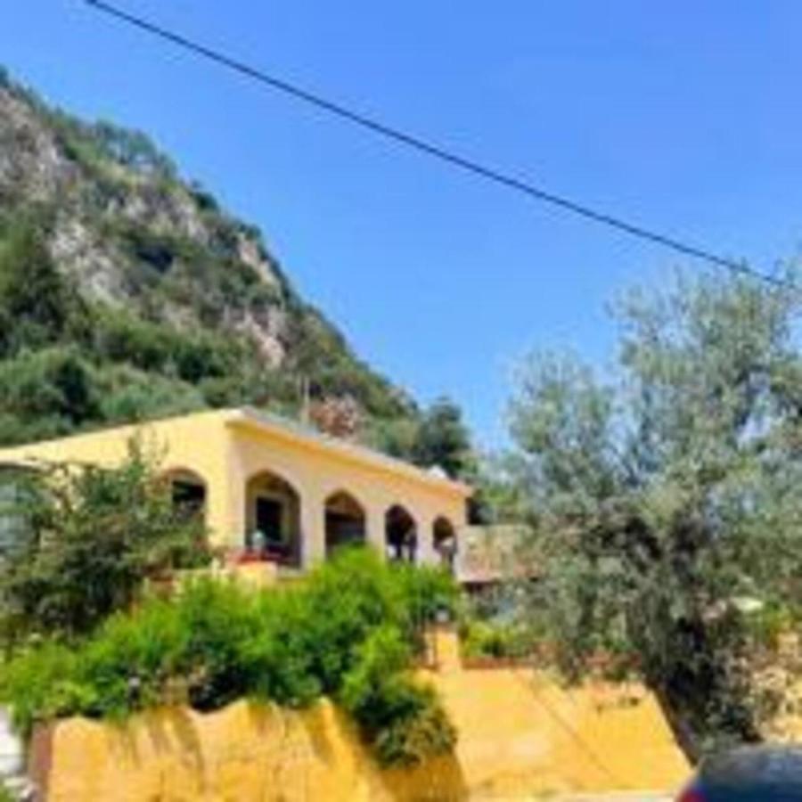 Vassilis Apartments パレオカストリッツア エクステリア 写真