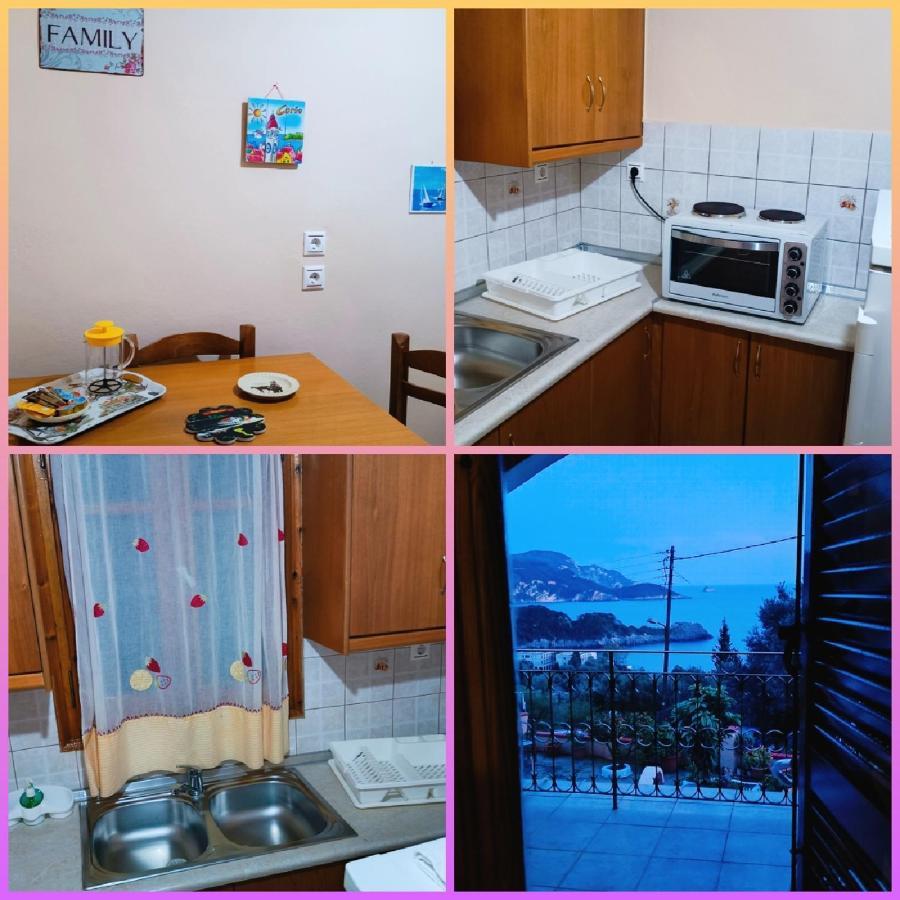 Vassilis Apartments パレオカストリッツア エクステリア 写真